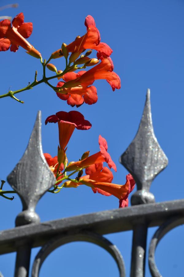 Gignod B&B Les Fleurs חדר תמונה